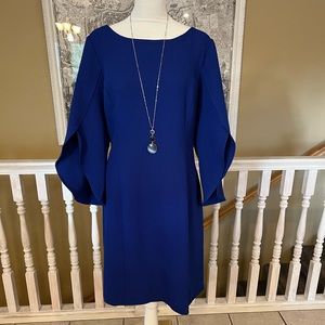 Coldwater Creek Cobalt Blue Dress - Size 14P